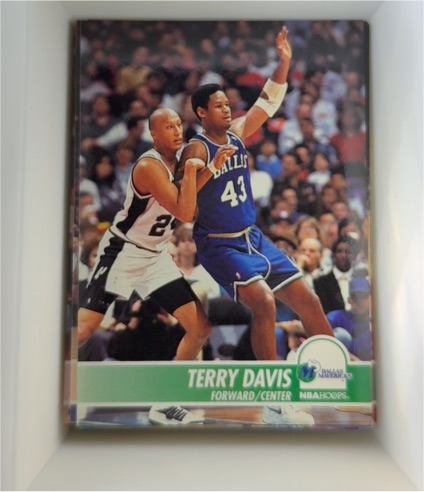 1994-95 Hoops #41 Terry Davis — front