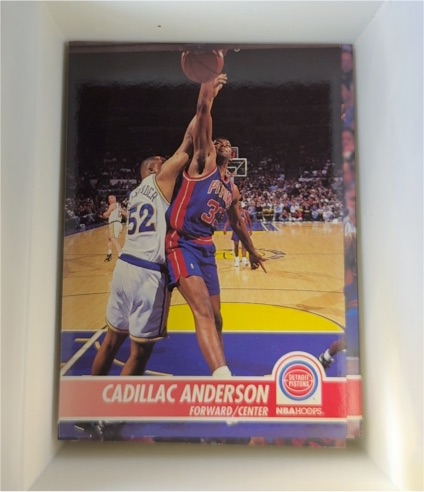 1994-95 NBA Hoops #56 Cadillac Anderson — front