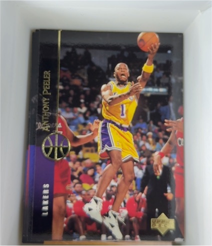 1994-95 Upper Deck #65 Anthony Peeler — front
