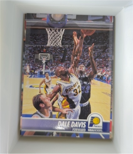1993-94 NBA Hoops #89 Dale Davis — front