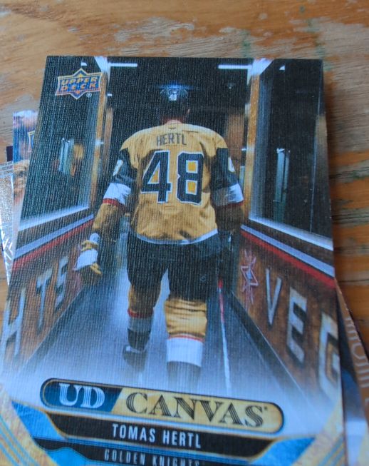 2024-25 Upper Deck Canvas #C304 Tomas Hertl — front