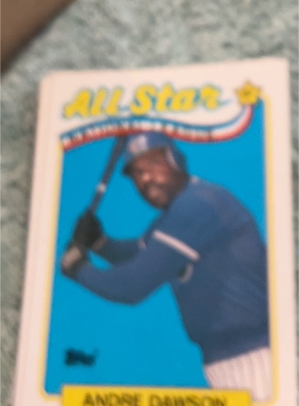 1989 Topps #391 Andre Dawson — front