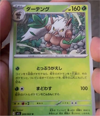 2025 Pokemon #009 Shiftry — front