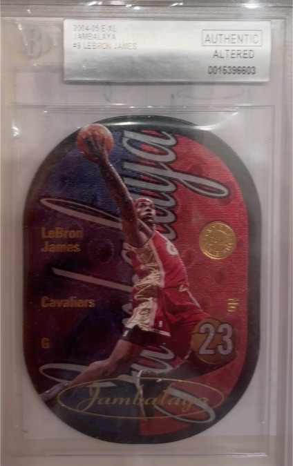 2004-05 Fleer SkyBox E-XL Jambalaya #5 LeBron James — front