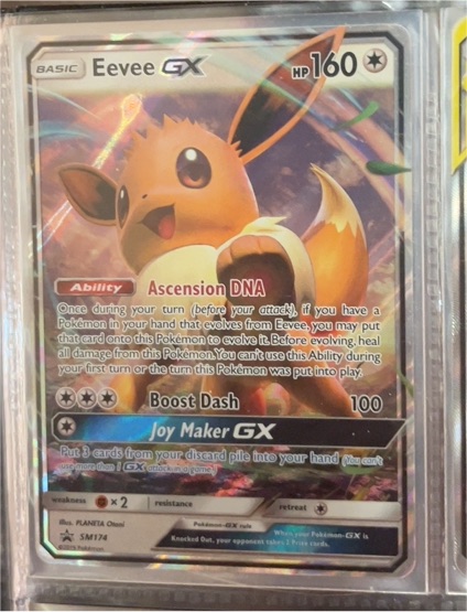 2019 Pokémon SM174 Eevee GX — front
