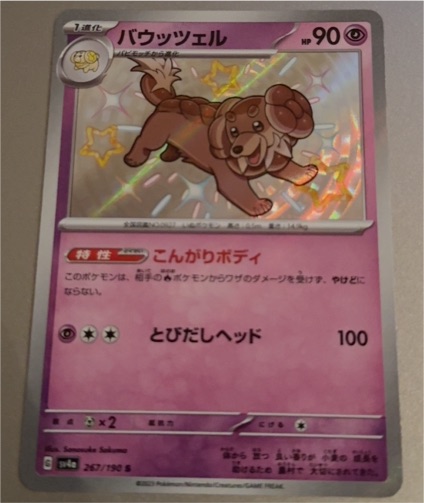 2023 Pokémon Shiny Treasure ex 267/190 Dachsbun — front