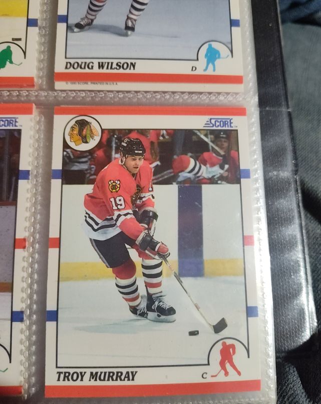 1990-91 Score #243 Troy Murray — front