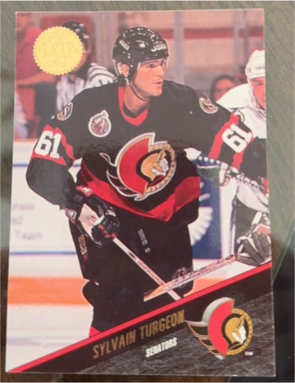 1993-94 Leaf #74 Sylvain Turgeon — front
