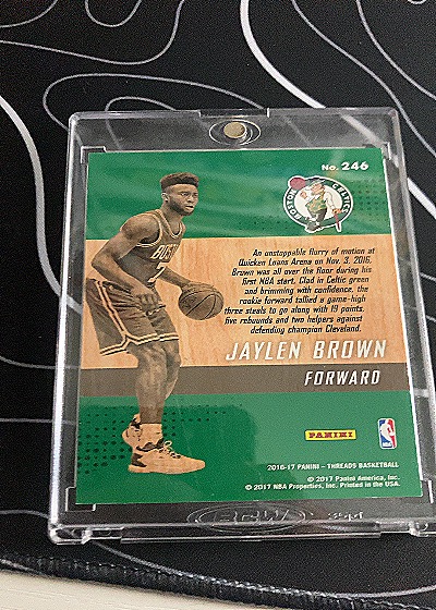 2016-17 Panini Threads #246 Jaylen Brown — back