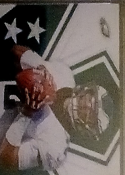 Jack Lambert Pittsburgh Steelers Football Card — front