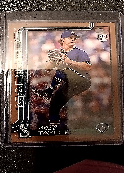 2025 Topps Series 2 #691 Troy Taylor — front