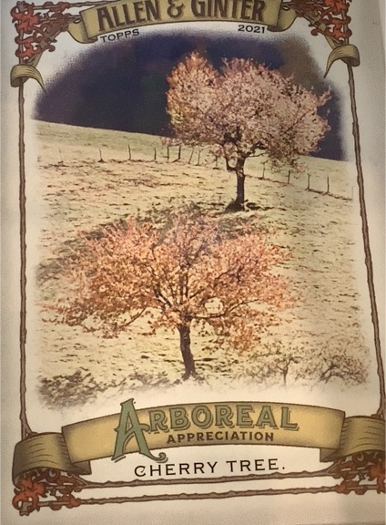 2021 Topps Allen & Ginter Arboreal Appreciation #AA-8 Cherry Tree — front