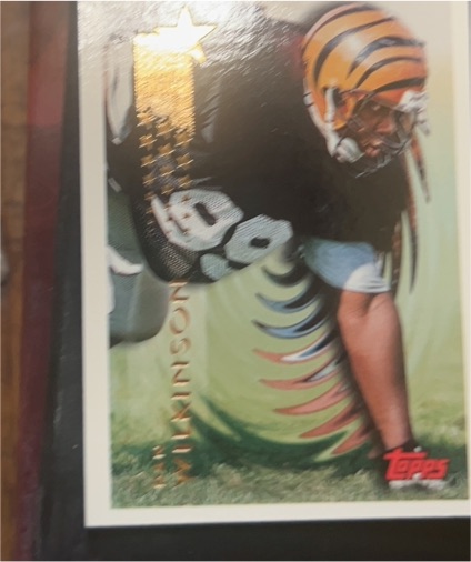 1994 Topps #620 Dan Wilkinson — front