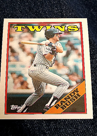 1988 Topps #73 Randy Bush — front