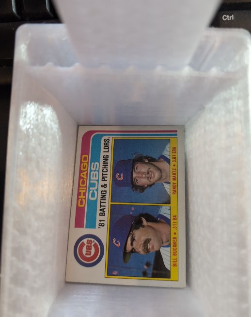 1982 Topps #456 Chicago Cubs Batting & Pitching Leaders Bill Buckner & Randy Martz — front