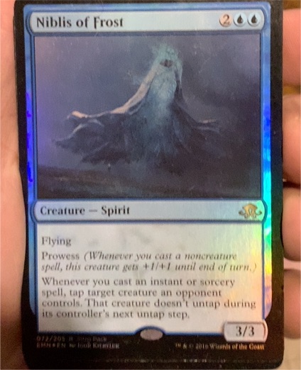 2010 Magic: The Gathering #27 Niblis of Frost — front