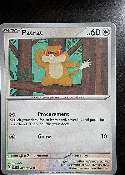 2025 Pokémon White Flare #072 Patrat — front
