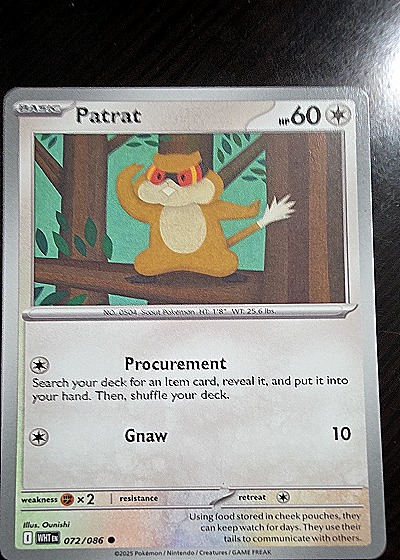 2025 Pokémon Scarlet & Violet White Flare #072 Patrat — front