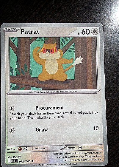 2023 Pokémon Scarlet & Violet White Flare #072 Patrat — front