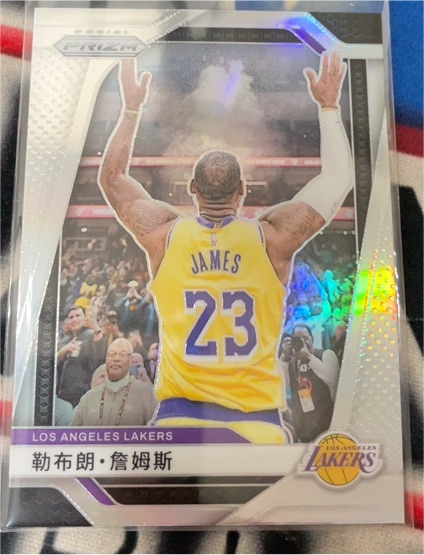 2024-25 Panini Prizm #130 LeBron James — front