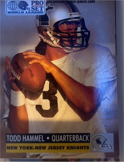 1991 Pro Set World League #19 Todd Hammel New York-New Jersey Knights — front