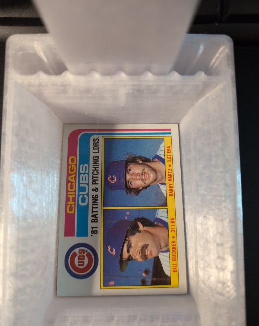 1982 Topps #456 Cubs Leaders Bill Buckner / Randy Martz — front