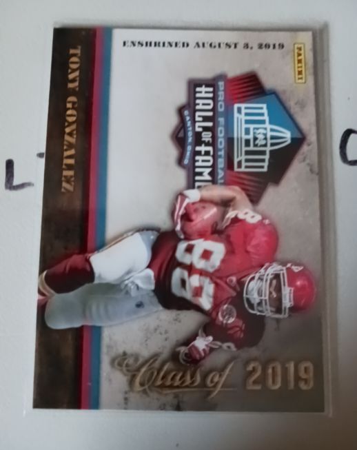 2019 Panini Pro Football Hall of Fame #4 Tony Gonzalez — front