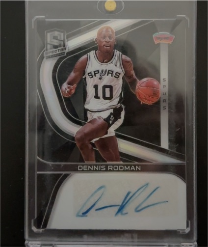 2019-20 Panini Spectra #73 Dennis Rodman — front