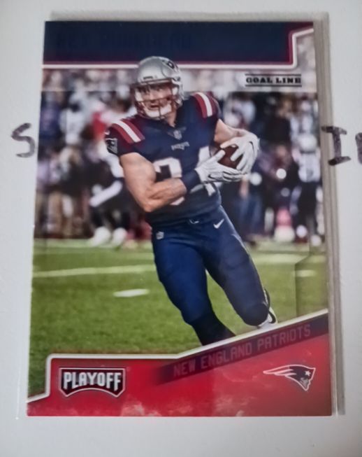 2018 Panini Playoff Goal Line #290 Ryan Izzo — front