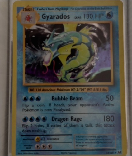 2016 Pokémon XY Evolutions #34 Gyarados — front