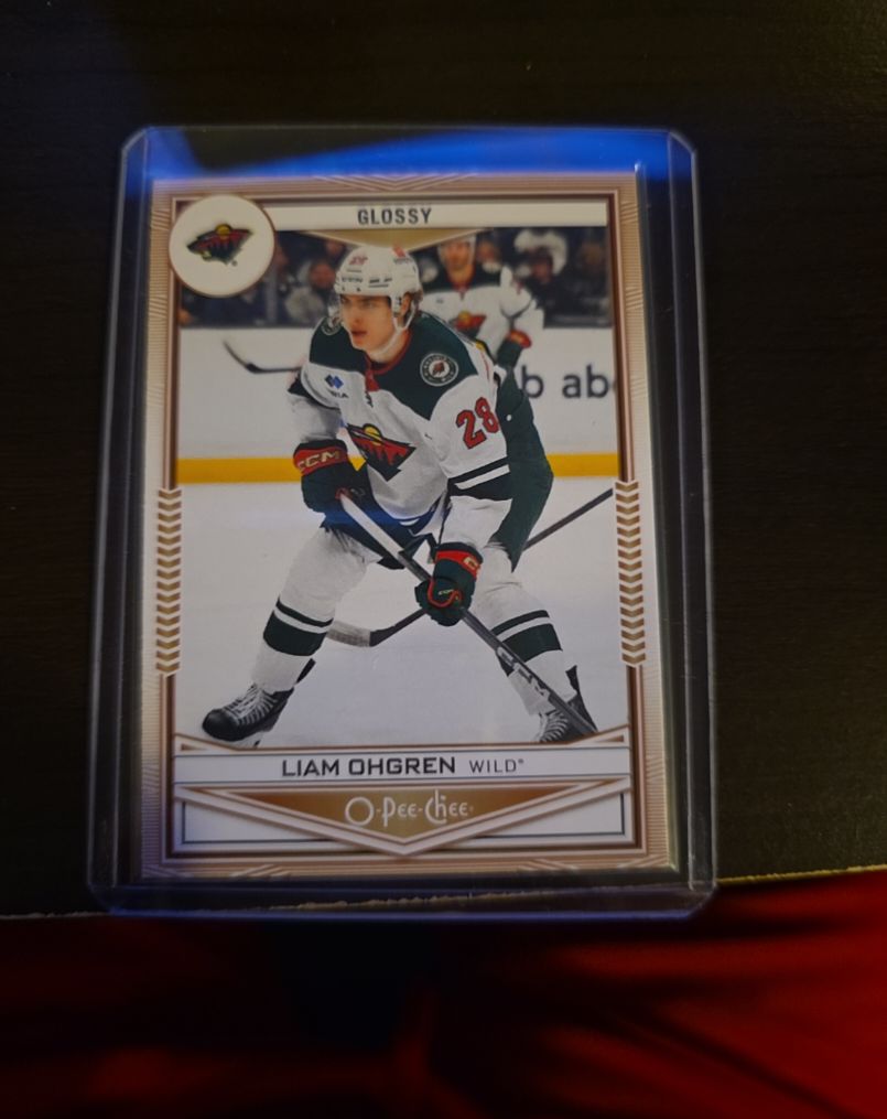 2024-25 Upper Deck Series 2 O-Pee-Chee Glossy #OPC-47 Liam Ohgren — front