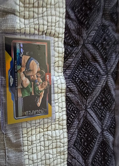 2025 Topps Chrome UFC Gregory Rodrigues — front