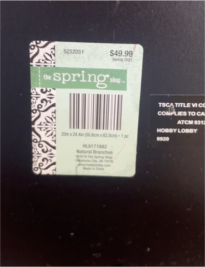 The Spring Shop Natural Branches Wall Art 2019 — front