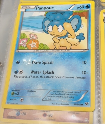 2014 Pokémon XY Base Set #37 Panpour — front