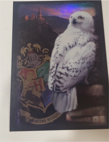 2022 Topps Harry Potter Hedwig — front