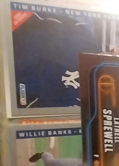 1989 Donruss #381 Tim Burke — front