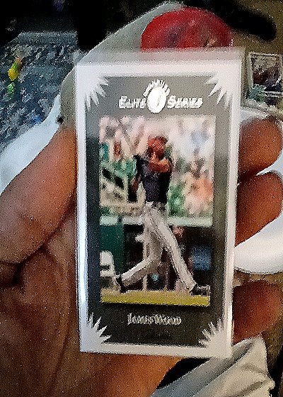 1995 Donruss Elite Series Jason Wood — front