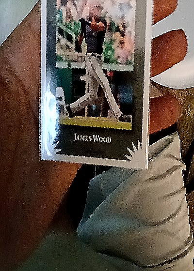 1991 Topps #430 James Wood — front