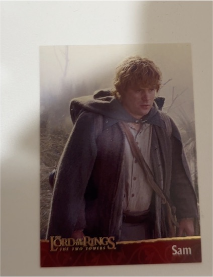2002 Topps Lord of the Rings The Two Towers #Sam — front