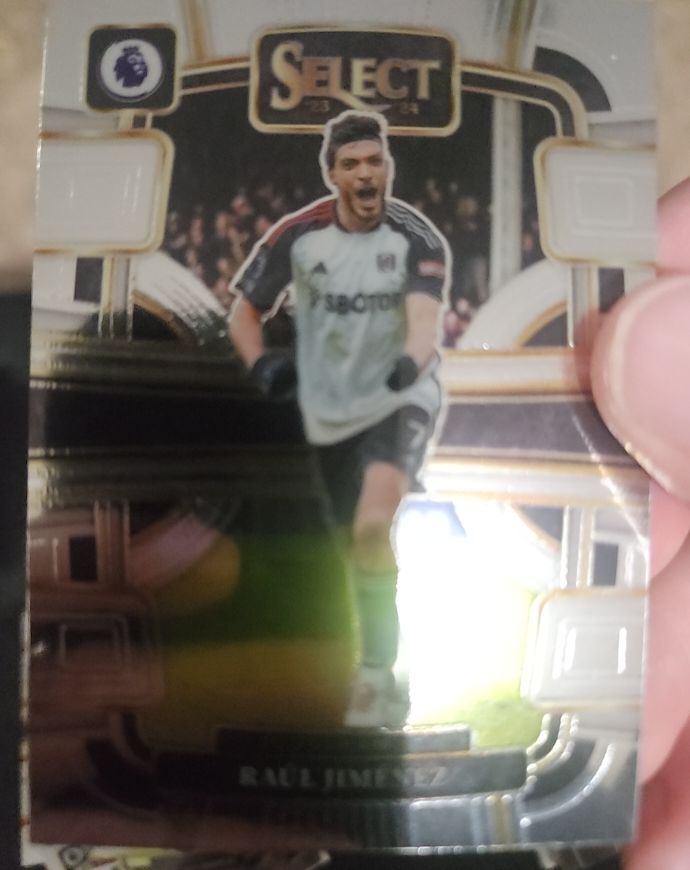 2023-24 Panini Select Premier League #50 Raul Jimenez — front