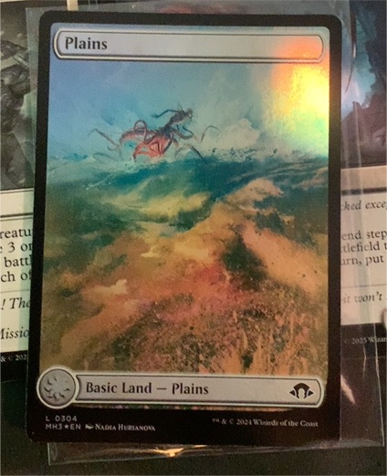 2024 Modern Horizons 3 #304 Plains — front