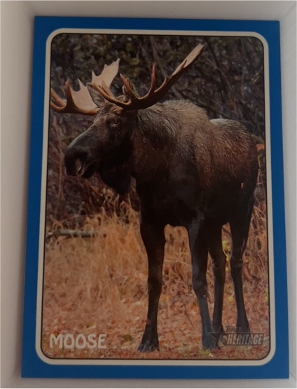 2024 Topps Heritage #75Z-15 Mike Moustakas Moose 1975 Topps Zoo's Who Stick-Ons — front