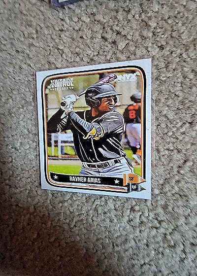 2024 Onyx Vintage Baseball #OVRAAR Rayner Arias — front