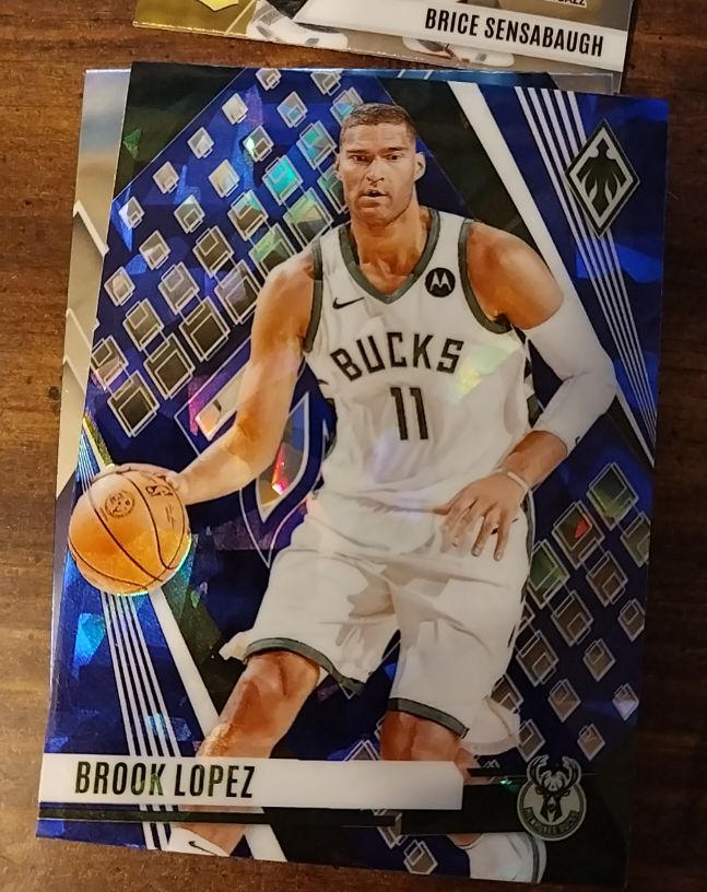 2023-24 Panini Phoenix #213 Brook Lopez — front