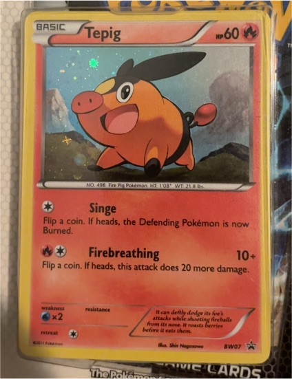2011 Pokémon BW07 Tepig — front