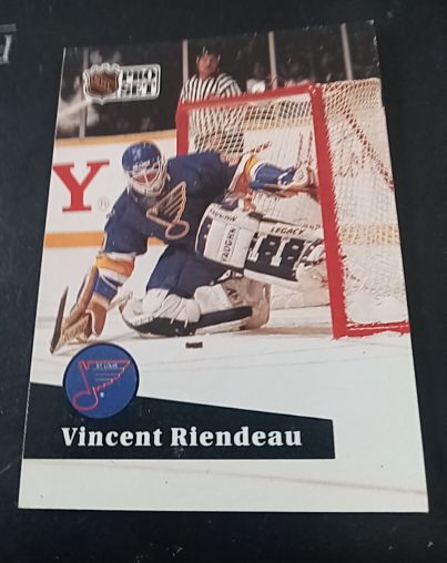 1991-92 Pro Set #213 Vincent Riendeau — front