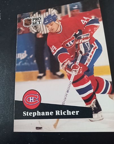 1991-92 Pro Set #122 Stephane Richer — front