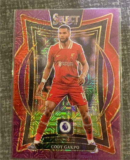 2024-25 Panini Select Premier League Terrace #42 Cody Gakpo — front