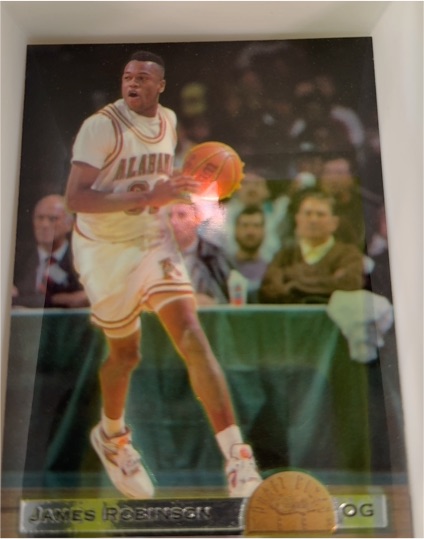 1993 Classic Draft Picks Draft Stars #DS33 James Robinson — front