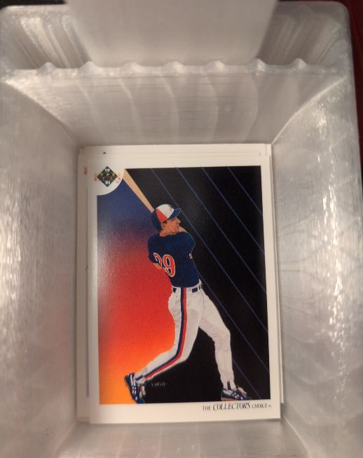 1991 Upper Deck #96 Tim Wallach — front